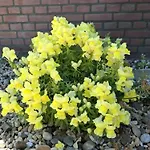 Bed & Breakfast Goeree Overflakkee